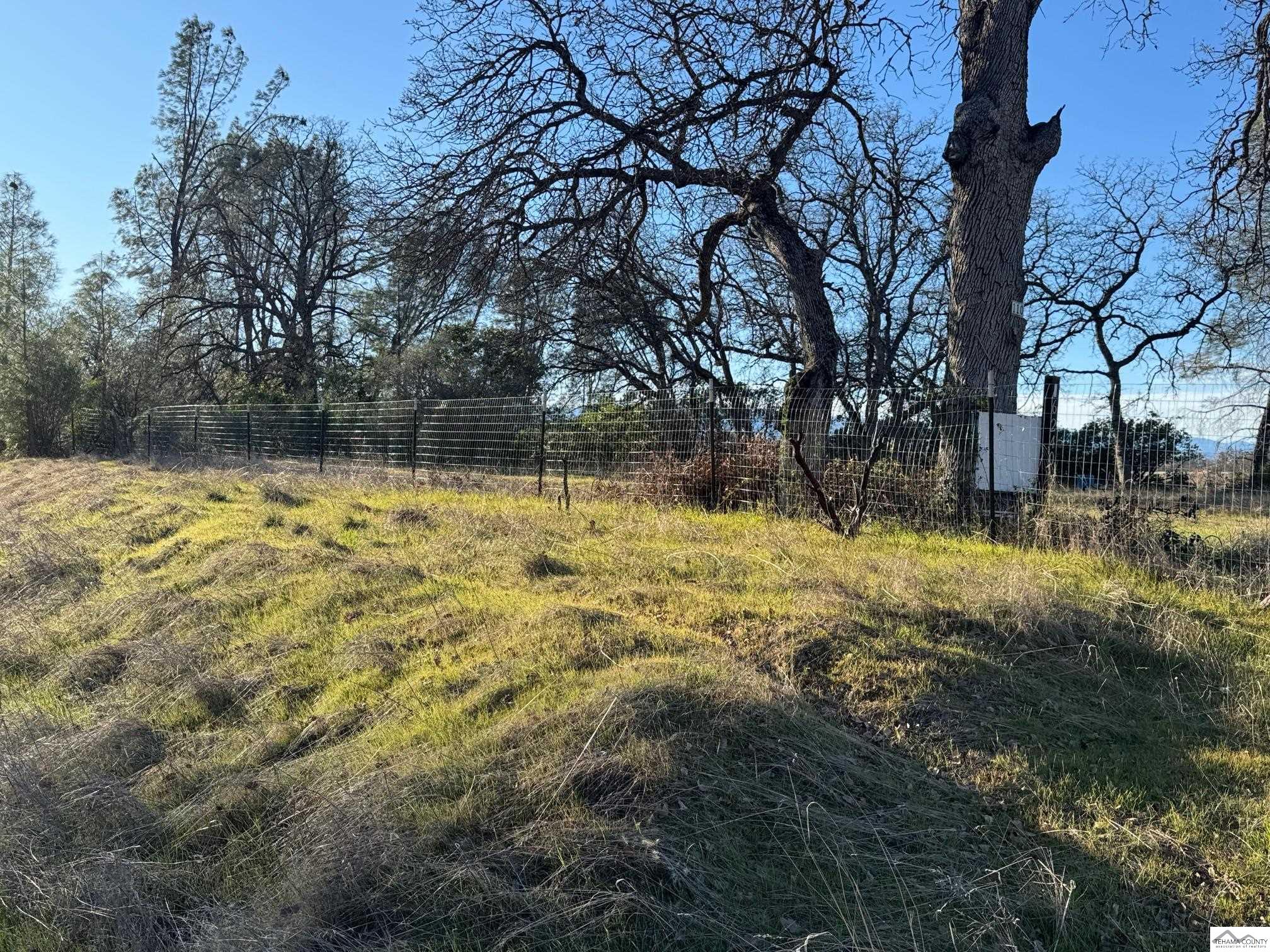 16240 Rancho Tehama Road Corning, CA 96021 - Photo 4 of 19