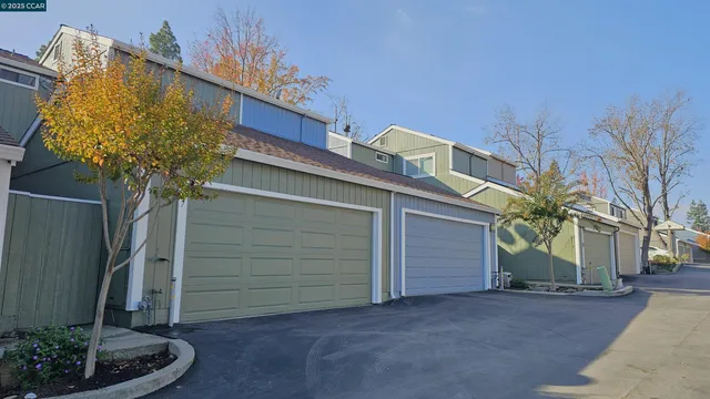 a view of a pathway with flower garden