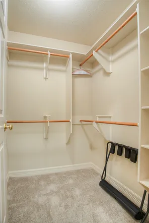 a bathroom with a shower and a sink