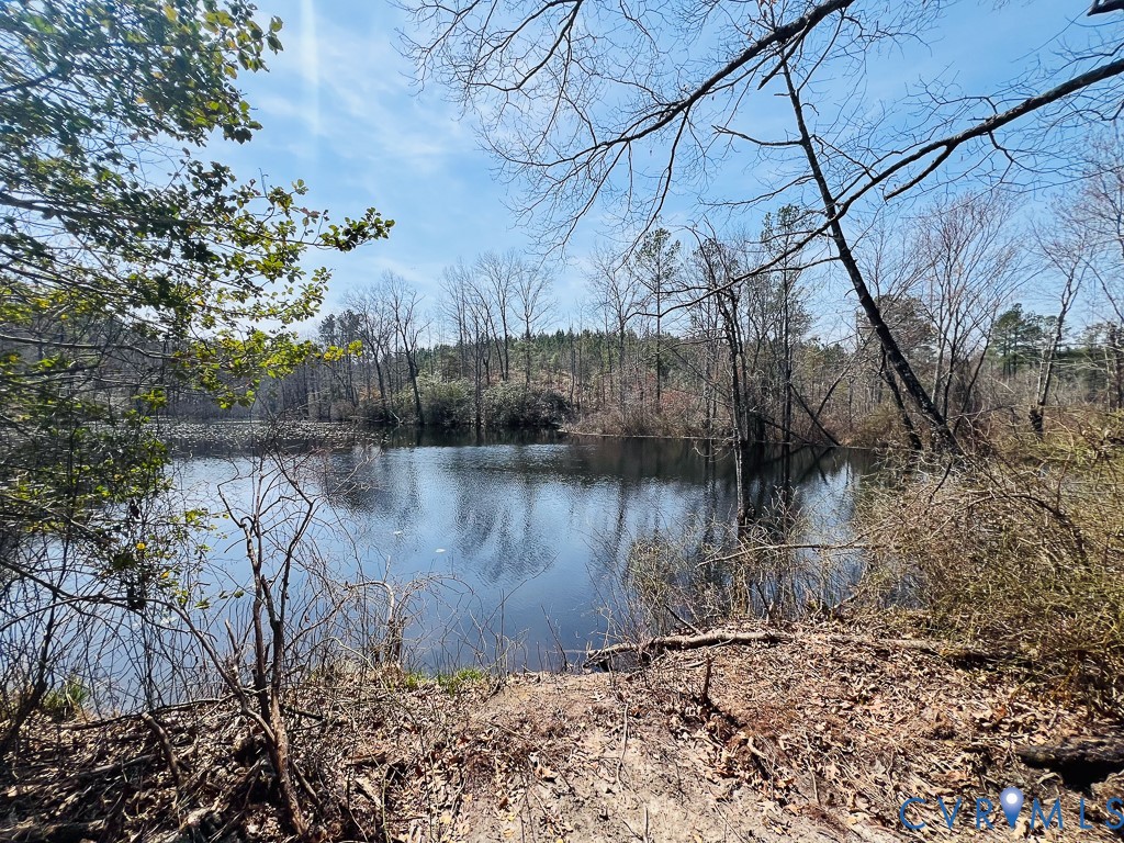 32082 Sparta Road Milford, VA 22514 - Photo 18 of 39 a view of lake with a yard