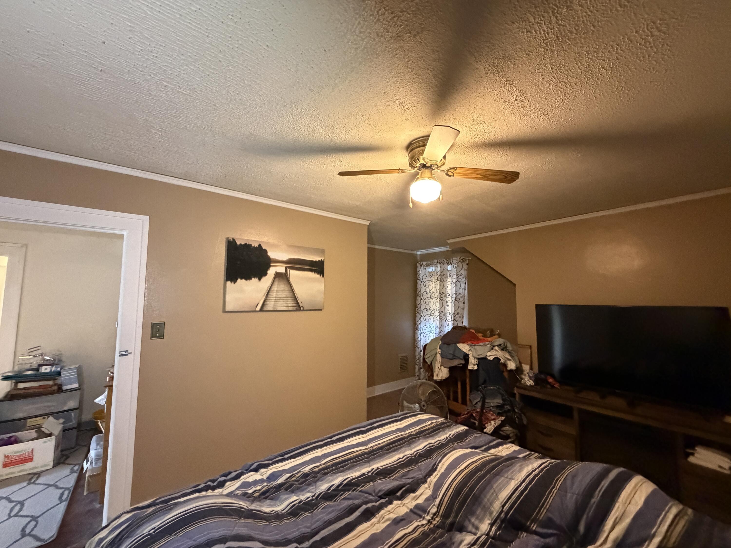 338 East Racine Street Jefferson, WI 53549 - Photo 66 of 149 IMG_6247