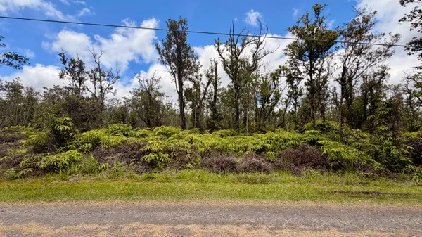$52,000 | 48 Kokokahi Road, Mountain View, HI 96771