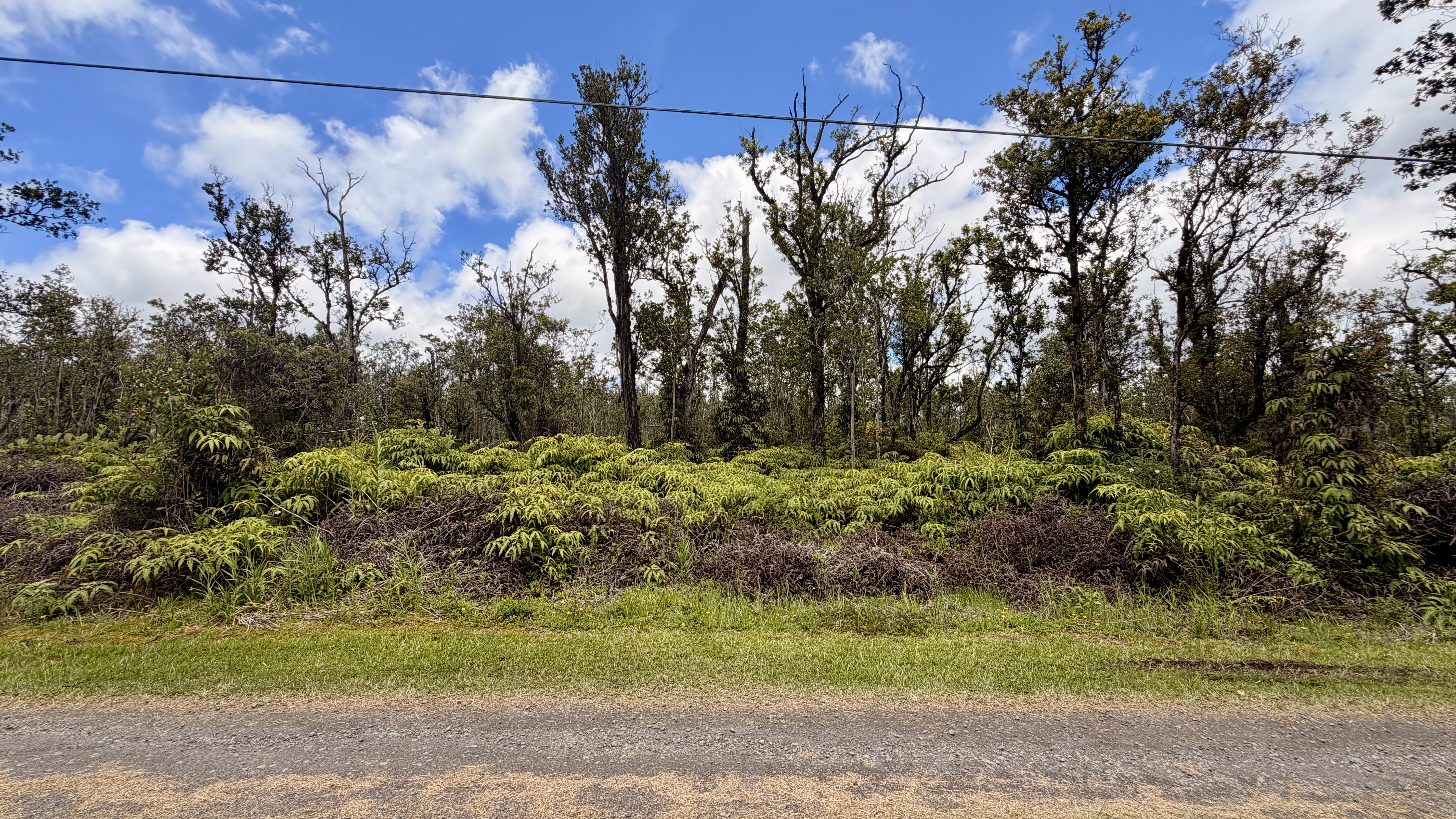 48 Kokokahi Road Mountain View, HI 96771 - Photo 1 of 9 Gallery Image 1