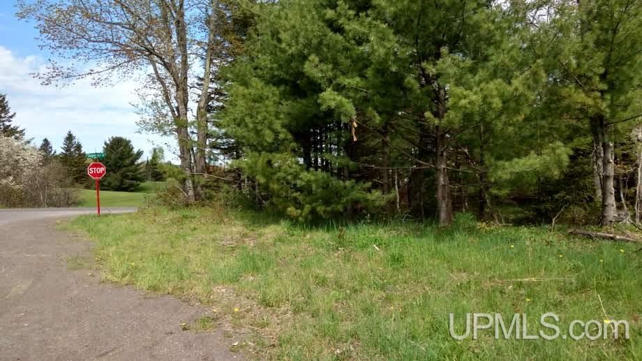 Tbd Boundary Road Chassell, MI 49931 - Photo 3 of 15