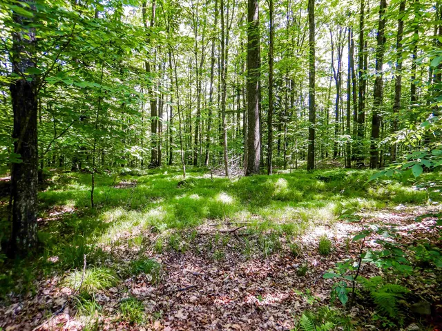 $94,900 | N12366 Chisum Trail, Athelstane, WI 54104