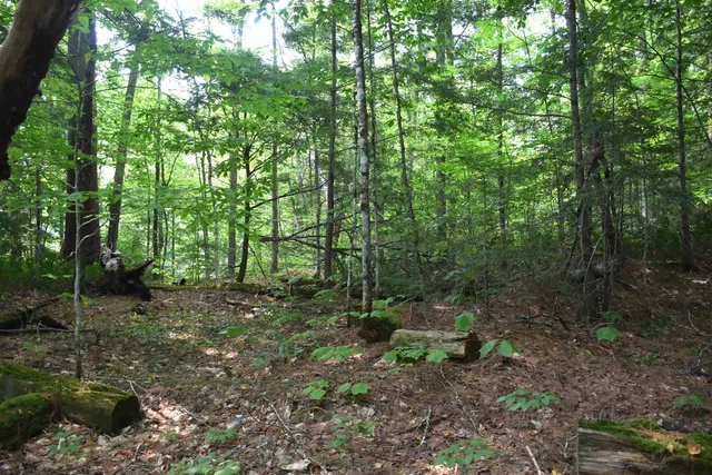 $650,000 | 195 Meadow Lane, Woodbury, VT 05681