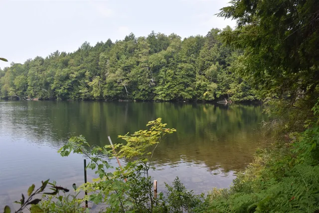 $650,000 | 195 Meadow Lane, Woodbury, VT 05681