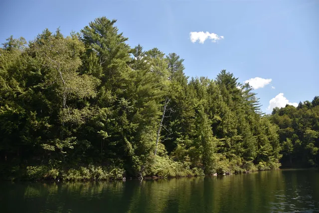 $650,000 | 195 Meadow Lane, Woodbury, VT 05681