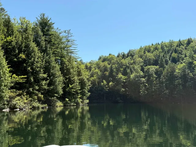 $650,000 | 195 Meadow Lane, Woodbury, VT 05681