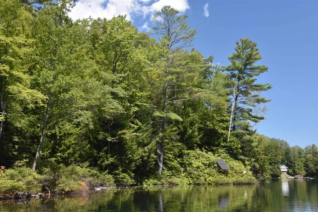 $650,000 | 195 Meadow Lane, Woodbury, VT 05681