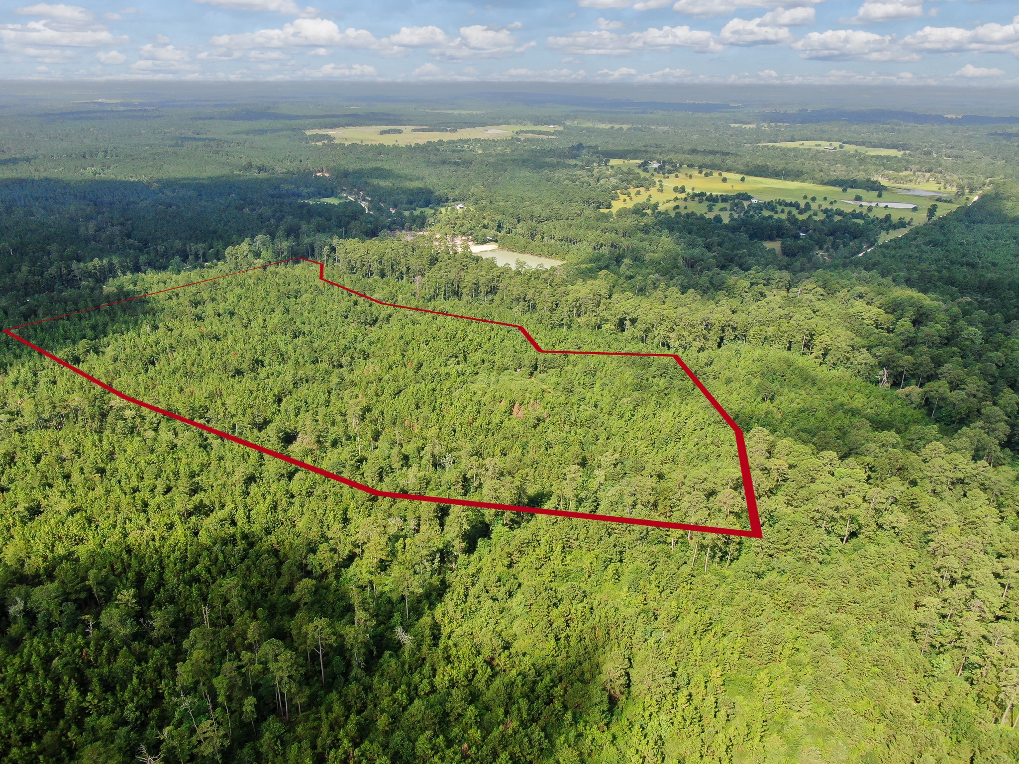 0 Scales Ranch Road Huntsville, TX 77320 - Photo 6 of 22