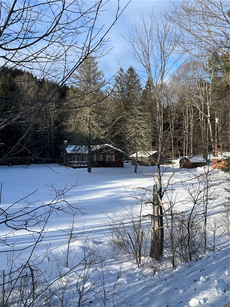 128 Trow Bridge Road Margaretville, NY 12455 - Photo 3 of 11 Rear View from New Kingston Rd