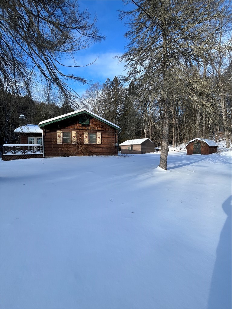 128 Trow Bridge Road Margaretville, NY 12455 - Photo 5 of 11 Back yard View of home, Shed and Garage