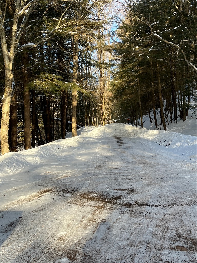 128 Trow Bridge Road Margaretville, NY 12455 - Photo 9 of 11 Dead end just past the driveway