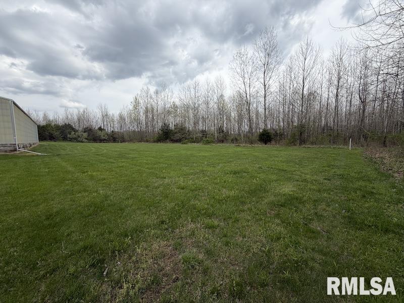 0 East Iron Bridge Road Marshall, IL 62441 - Photo 14 of 23