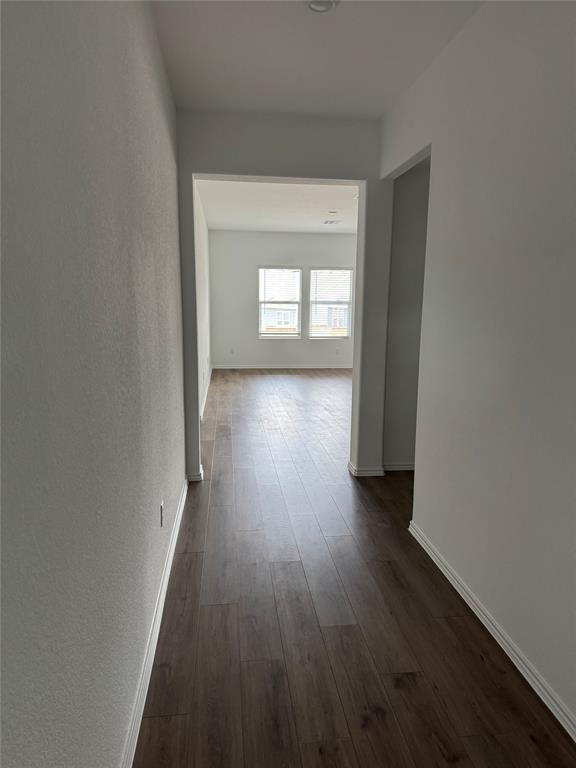 216 Jeffers Kyle, TX 78640 - Photo 6 of 19 Hallway with wood-finish flooring, white baseboards, and neutral wall tones leading to a bright room with multiple windows