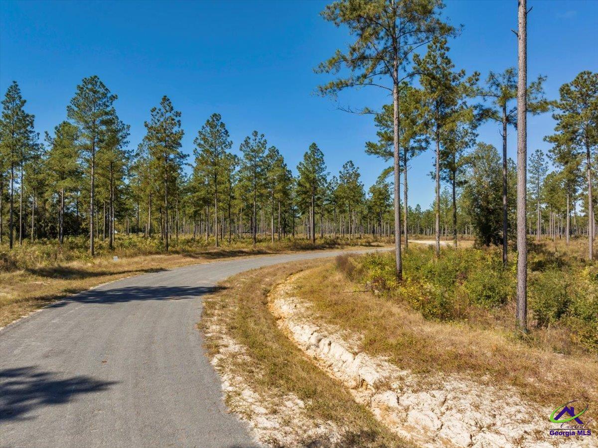 12 Timber Way Cochran, GA 31014 - Photo 8 of 13