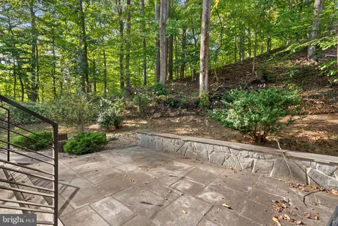 a view of a yard with plants and large trees