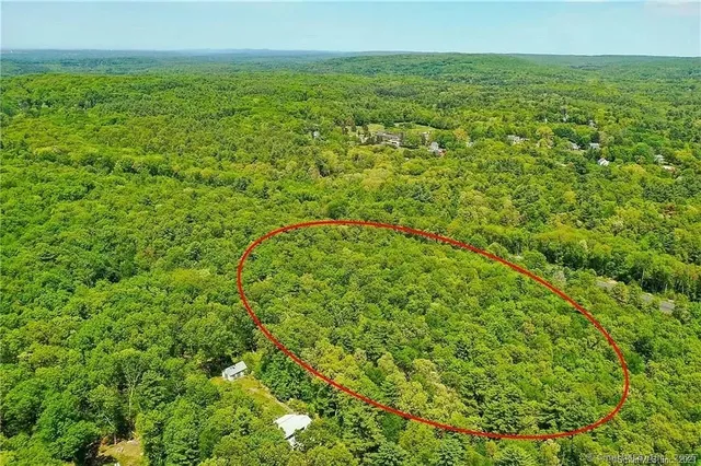 a view of a field with an ocean