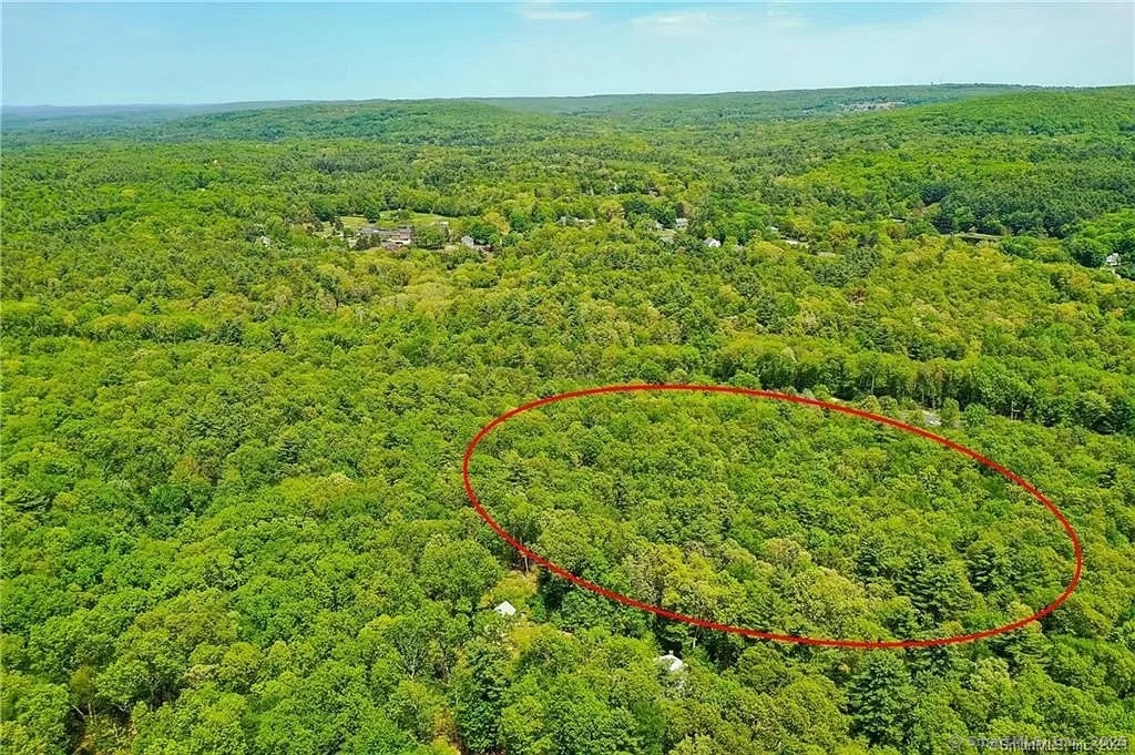 318 Three Mile Road Glastonbury, CT 06033 - Photo 3 of 5 a view of a green field with lots of bushes
