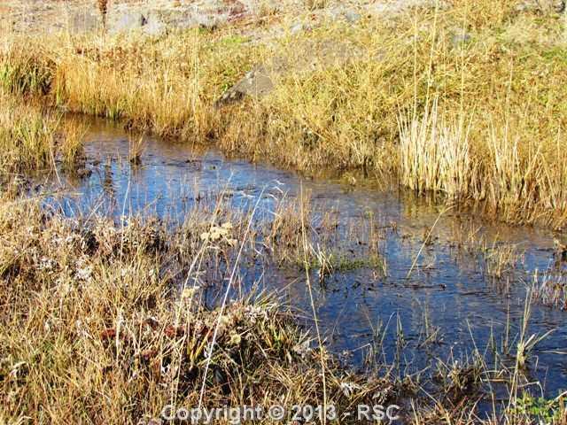80 Post Road Guffey, CO 80820 - Photo 8 of 24 4-Mile Creek