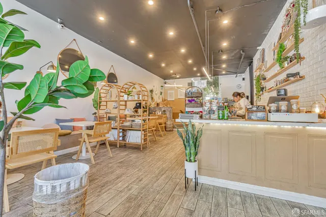 a living room filled with furniture and a potted plant