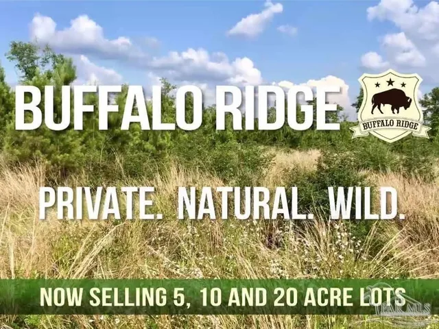 a view of swimming pool