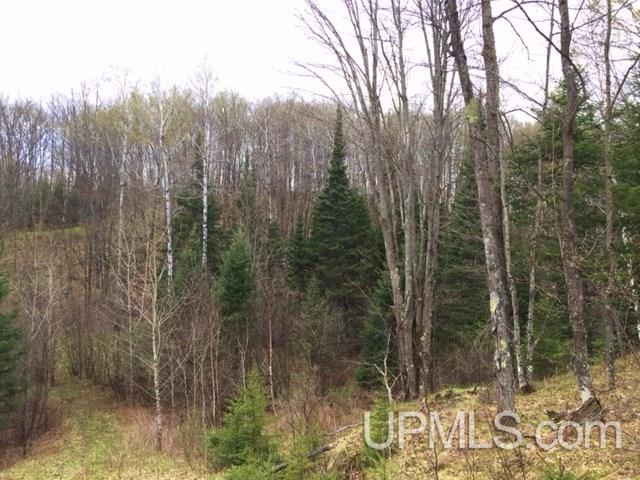 Tbd Carpenter Road Crystal Falls, MI 49920 - Photo 14 of 21