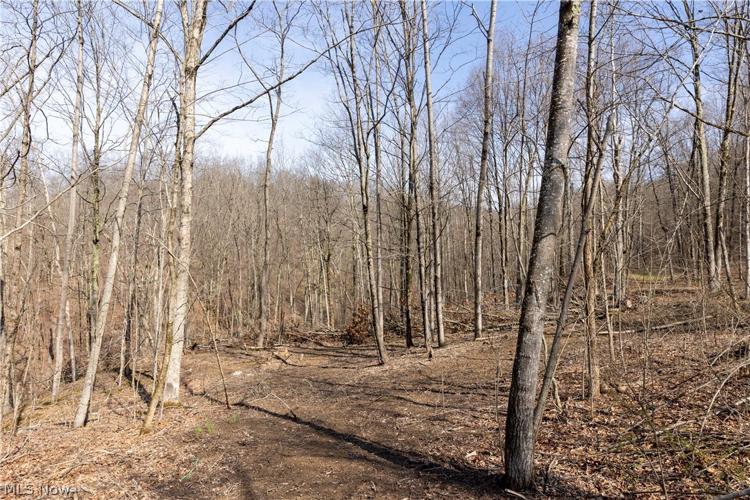 505 Back Run Road Philo, OH 43771 - Photo 8 of 19