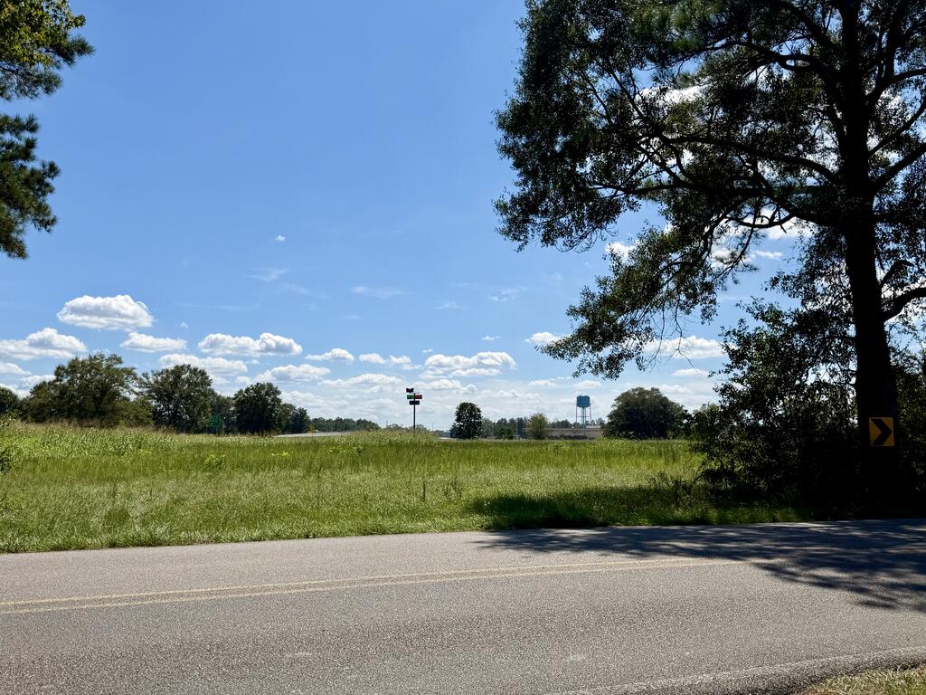 0 West Union Road Carriere, MS 39426 - Photo 16 of 17 Gallery Image 16