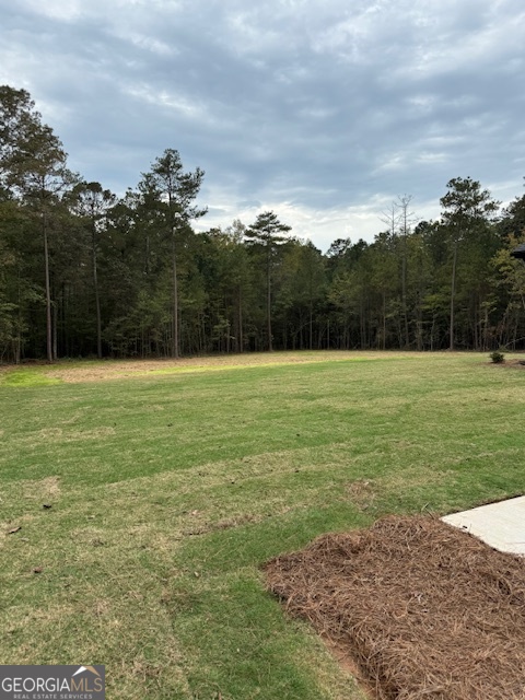 4983 Guthrie Cemetery Road Loganville, GA 30052 - Photo 43 of 43