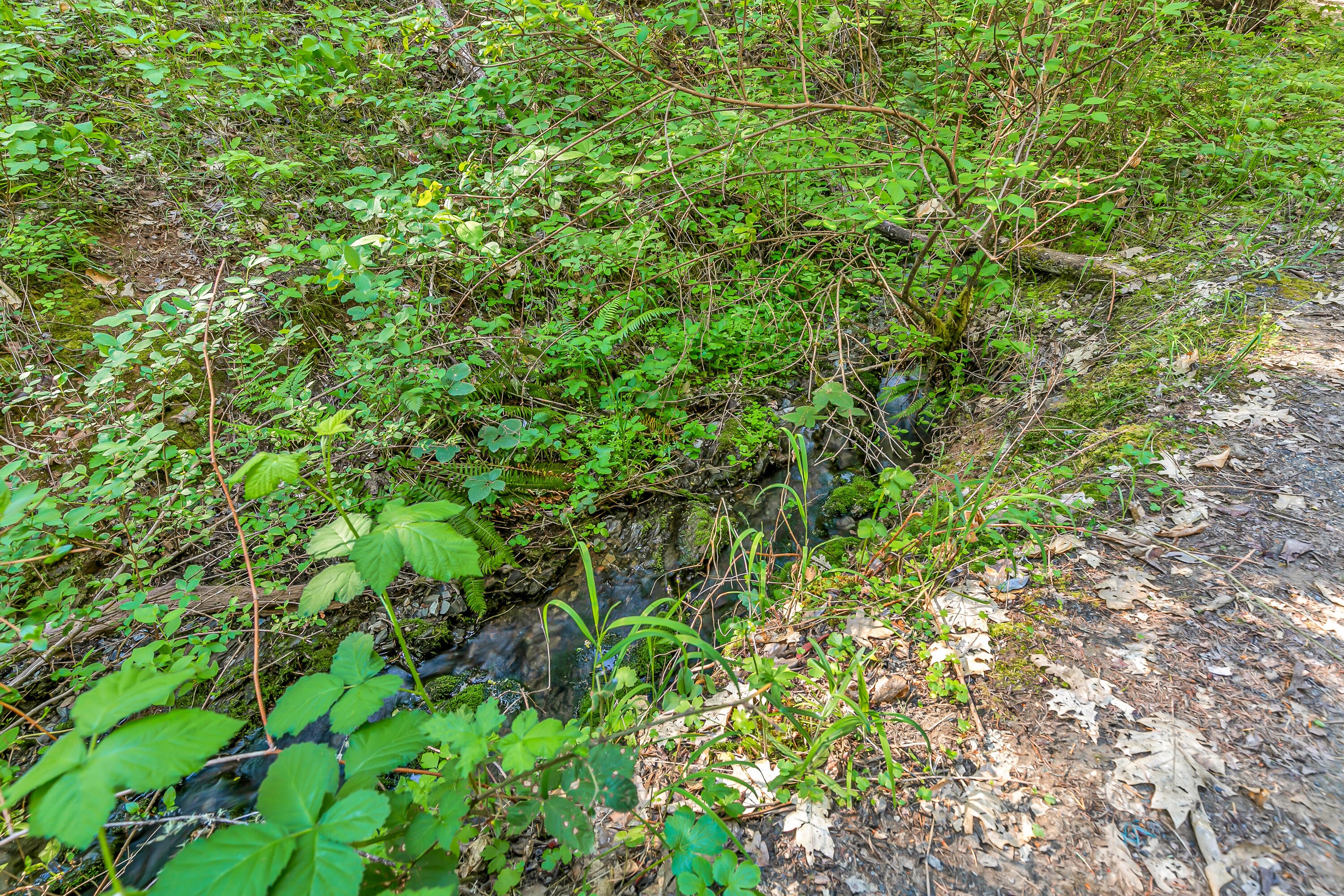 3540 Galice Road Merlin, OR 97532 - Photo 41 of 47 Creek