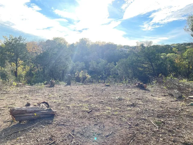 a view of a dry yard with trees