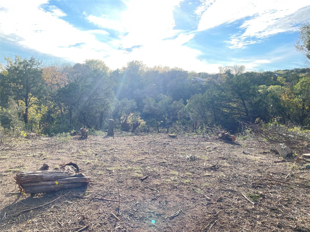 View of tree filled area