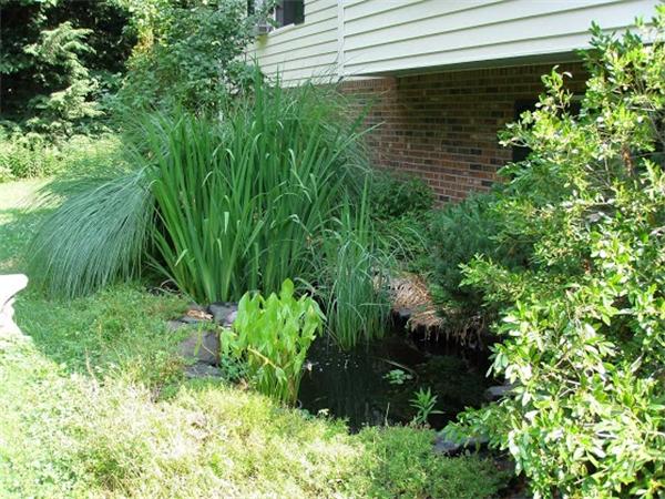 138 Pond Brook Road Huntington, MA 01050 - Photo 21 of 22 a view of a garden