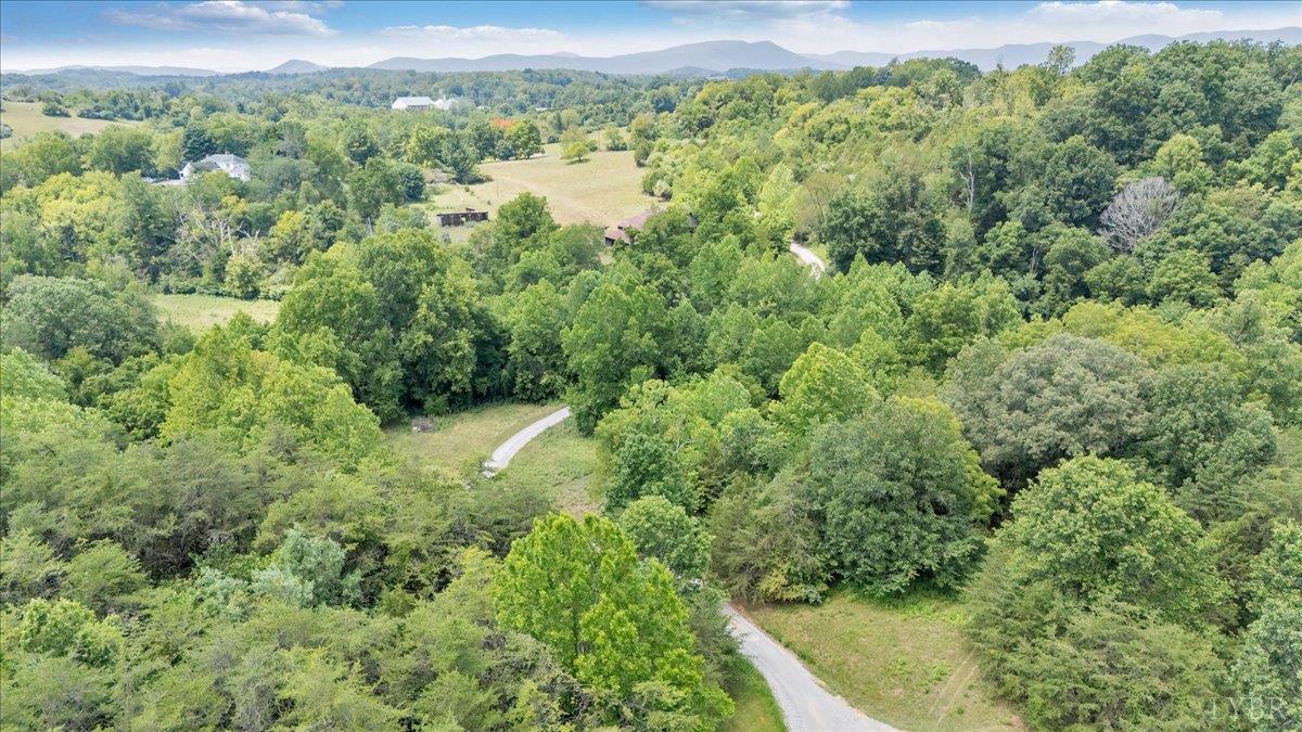 615 Muse Road Fincastle, VA 24090 - Photo 74 of 78 Gallery Image 74