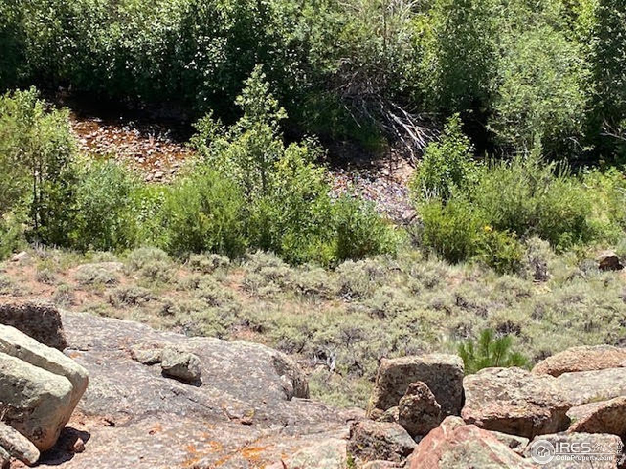0 Wilderness Legacy Road Livermore, CO 80536 - Photo 17 of 17 Gallery Image 17