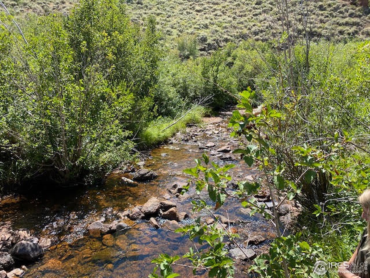 0 Wilderness Legacy Road Livermore, CO 80536 - Photo 3 of 17 Gallery Image 3