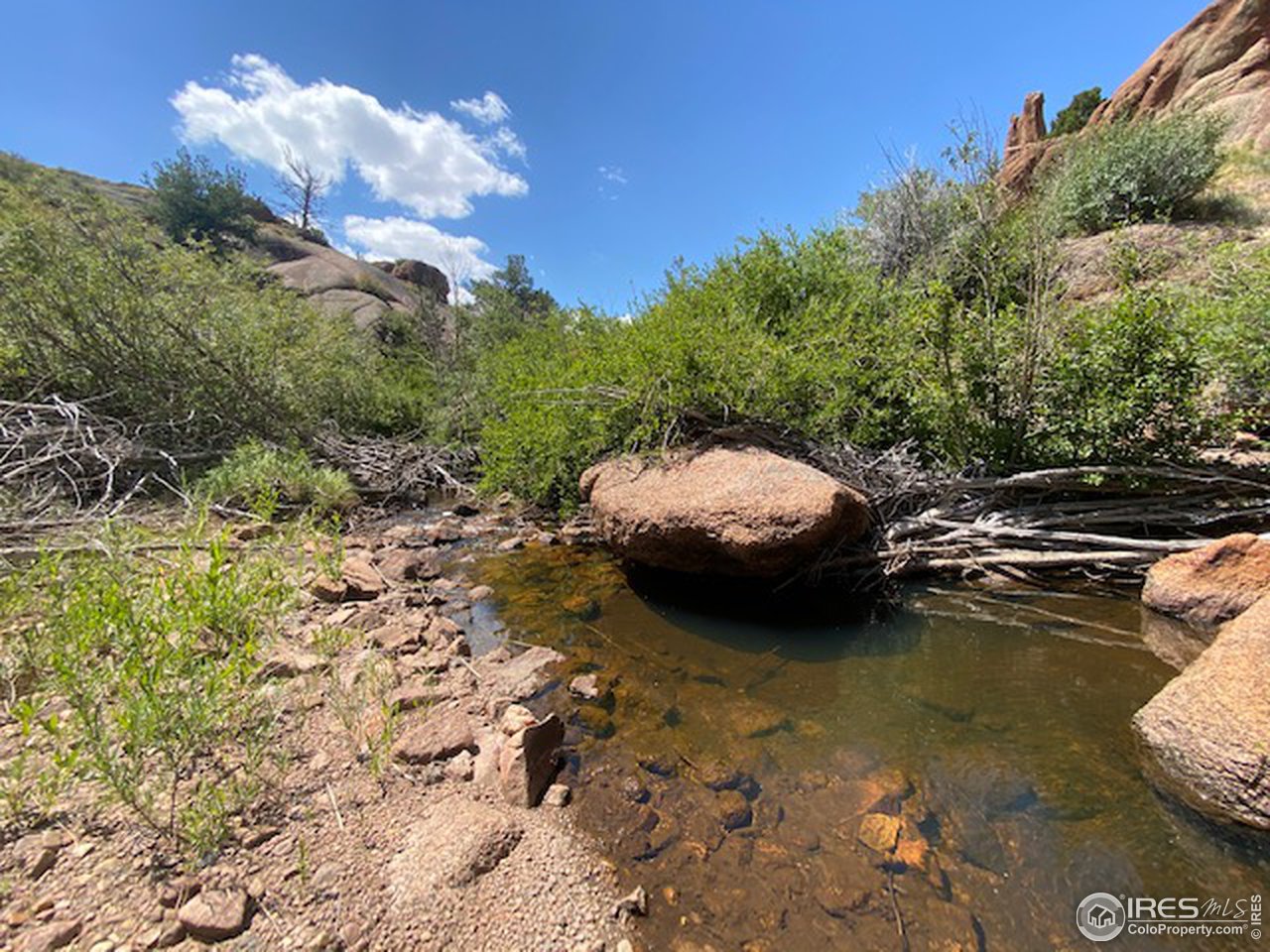 0 Wilderness Legacy Road Livermore, CO 80536 - Photo 9 of 17 Gallery Image 9