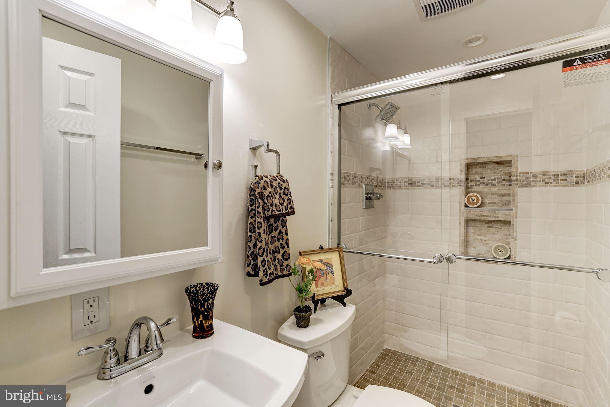 11575 Shadbush Court Reston, VA 20191 - Photo 16 of 30 Fabulous New Bath (Master)
