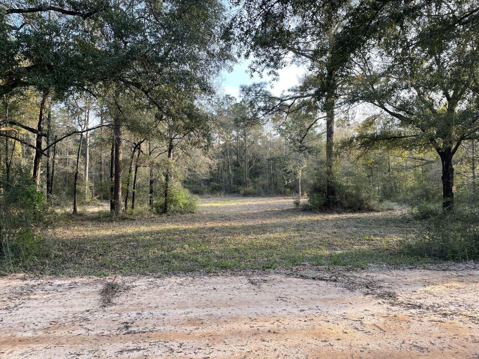 80 John Curry Road DeFuniak Springs, FL 32435 - Photo 1 of 14 Brayton.1