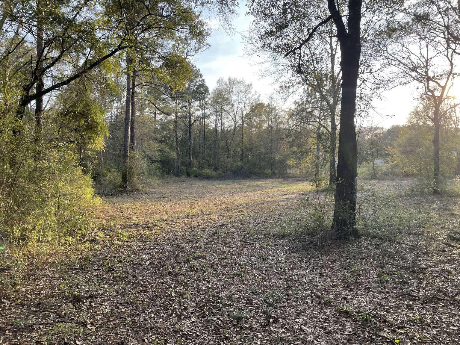 80 John Curry Road DeFuniak Springs, FL 32435 - Photo 6 of 14 Brayton.6