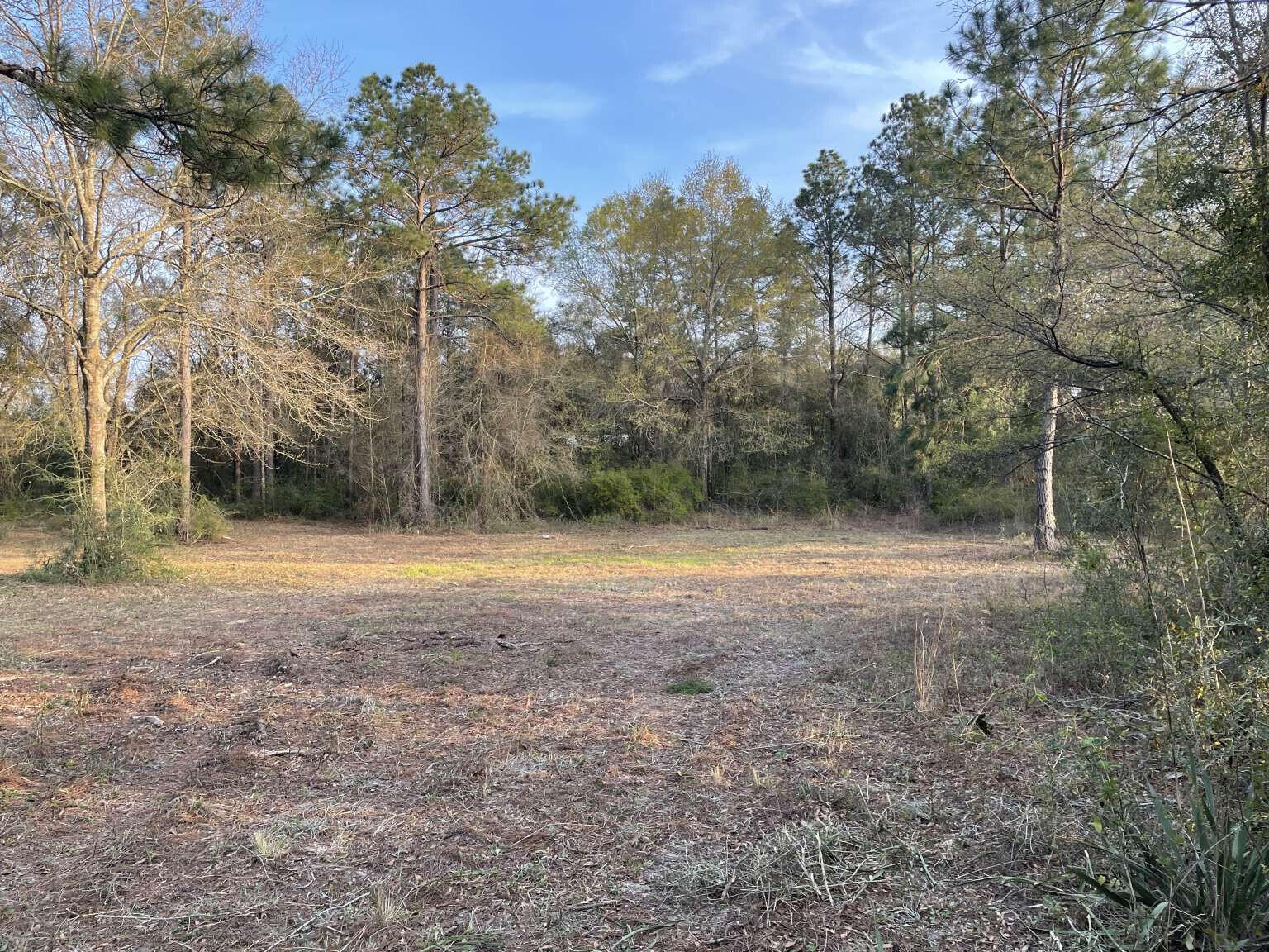 80 John Curry Road DeFuniak Springs, FL 32435 - Photo 8 of 14 Brayton.8