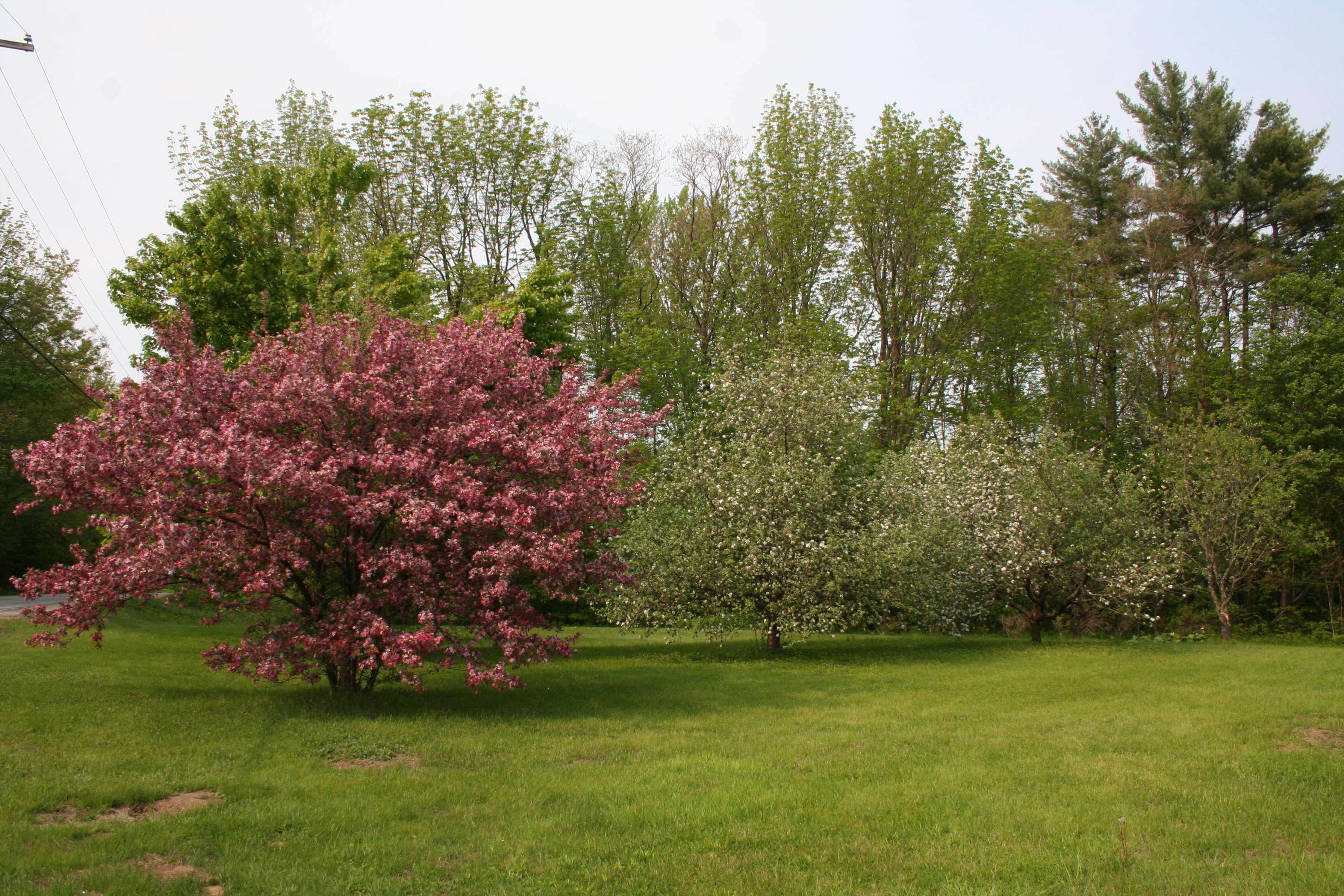 175 West Fryeburg Road Fryeburg, ME 04037 - Photo 41 of 45 IMG_7231