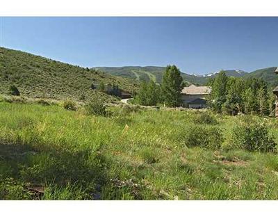 940 June Creek Road Edwards, CO 81632 - Photo 2 of 2 Additional Photo