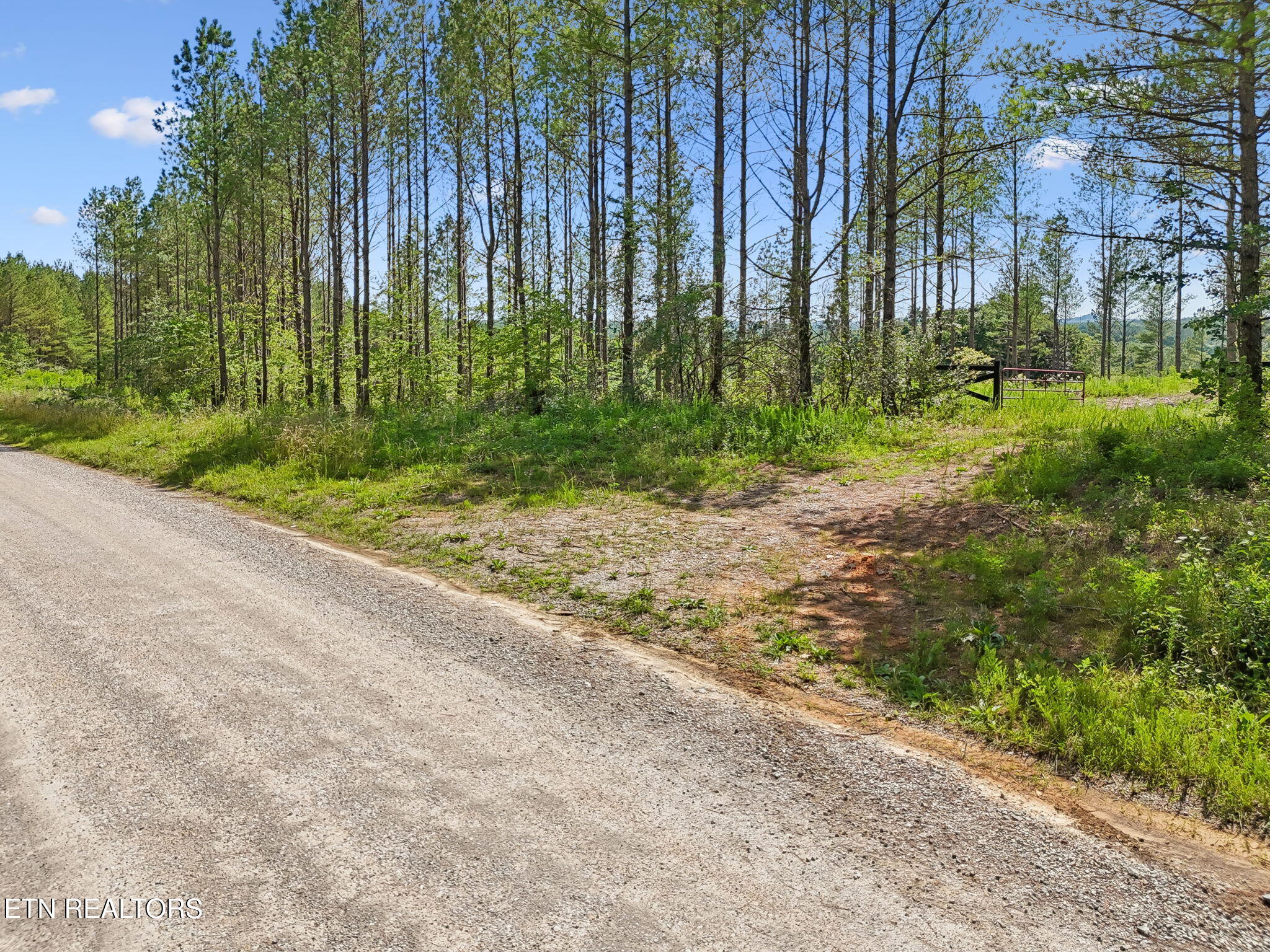 Sheep Ranch Road, Unit 24 Robbins, TN 37852 - Photo 24 of 33 15-Sheep Ranch Rd-015