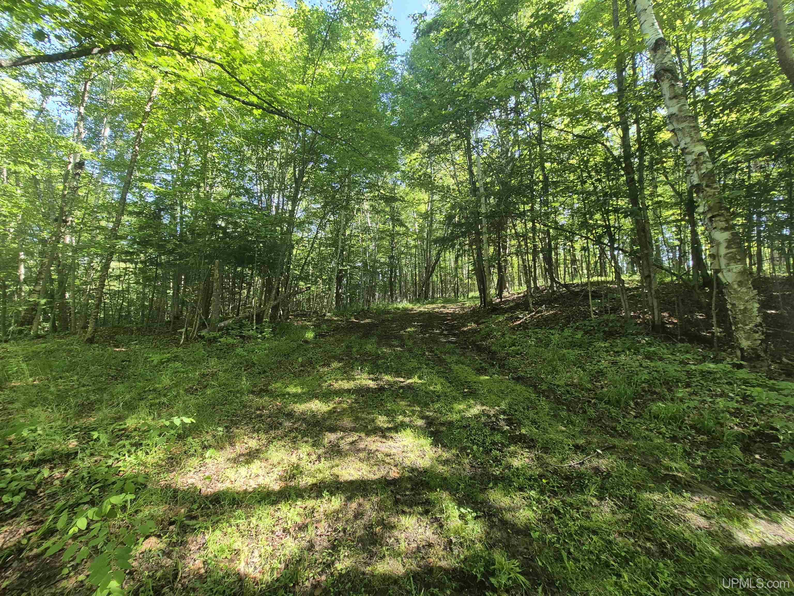 8-acres Nestor Road Munising, MI 49862 - Photo 31 of 43
