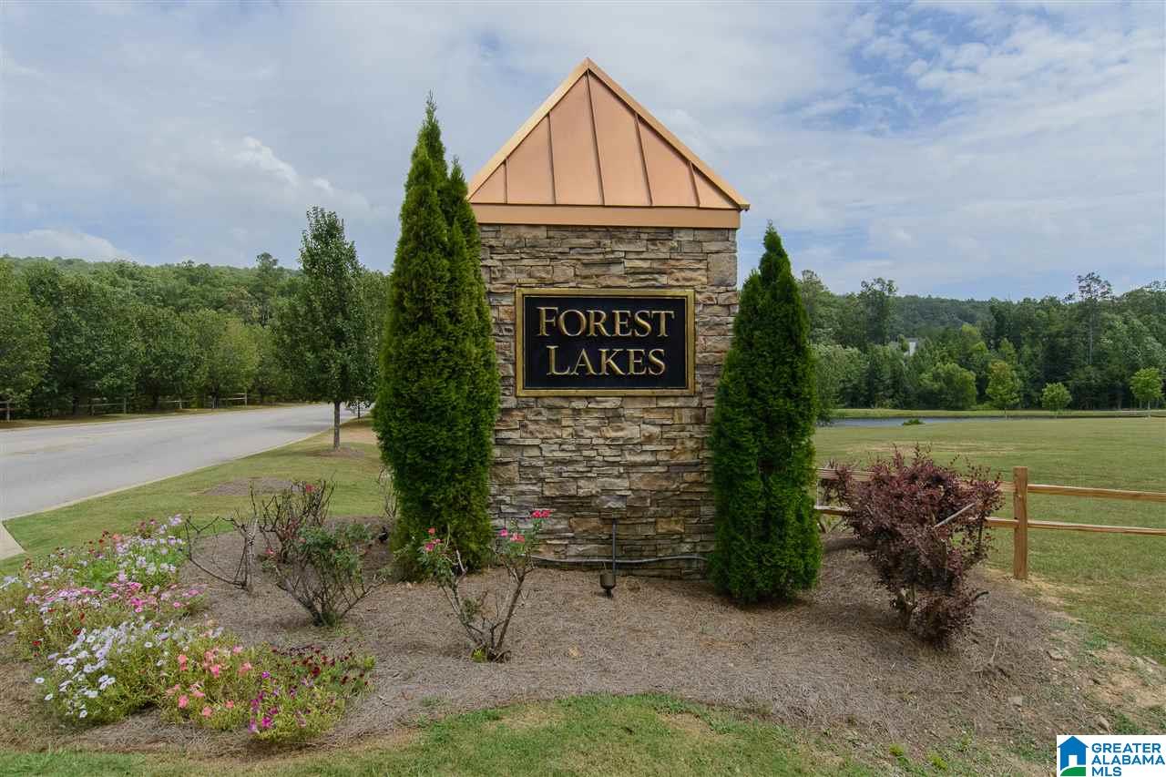 4064 Forest Lakes Road Sterrett, AL 35147 - Photo 33 of 33