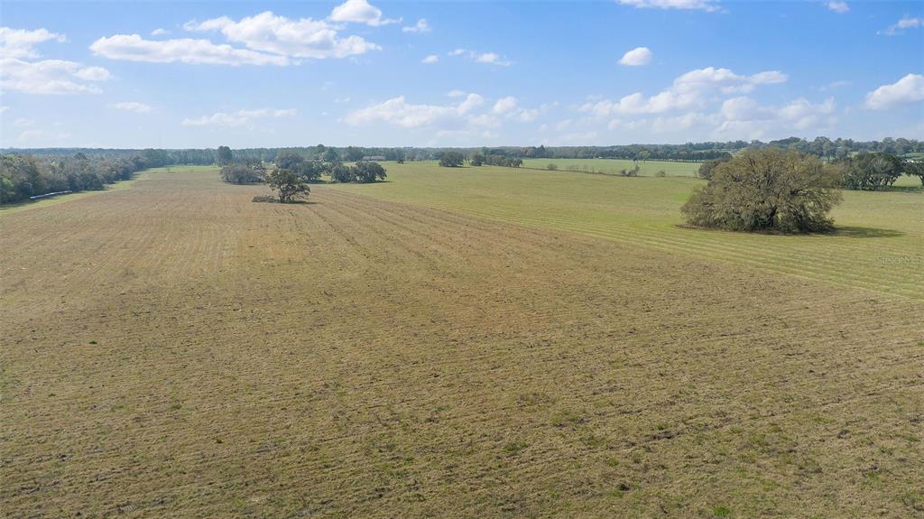 19355 Southwest 25th Place Dunnellon, FL 34431 - Photo 37 of 38 a view of an ocean and beach