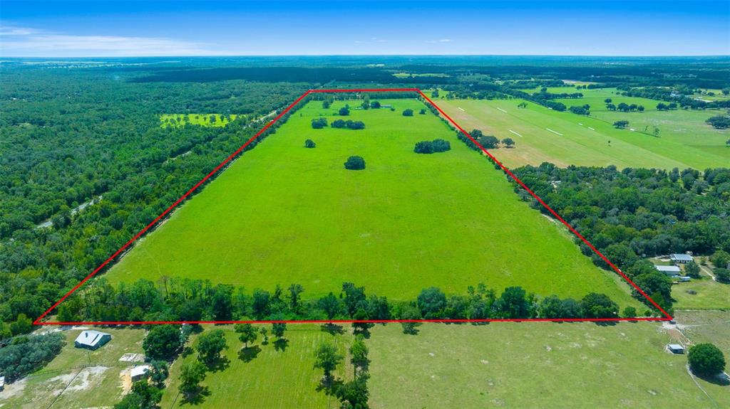 19355 Southwest 25th Place Dunnellon, FL 34431 - Photo 5 of 38 a view of a city